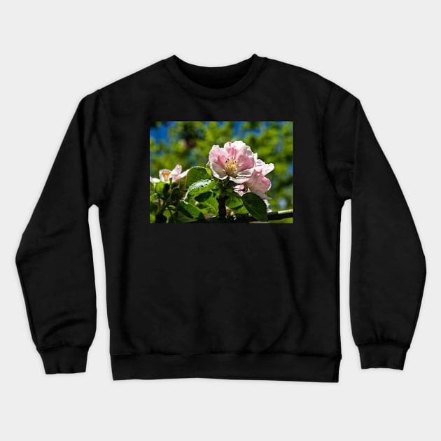 Apple blossom Crewneck Sweatshirt by jasminewang